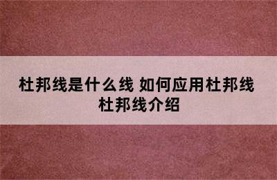 杜邦线是什么线 如何应用杜邦线 杜邦线介绍